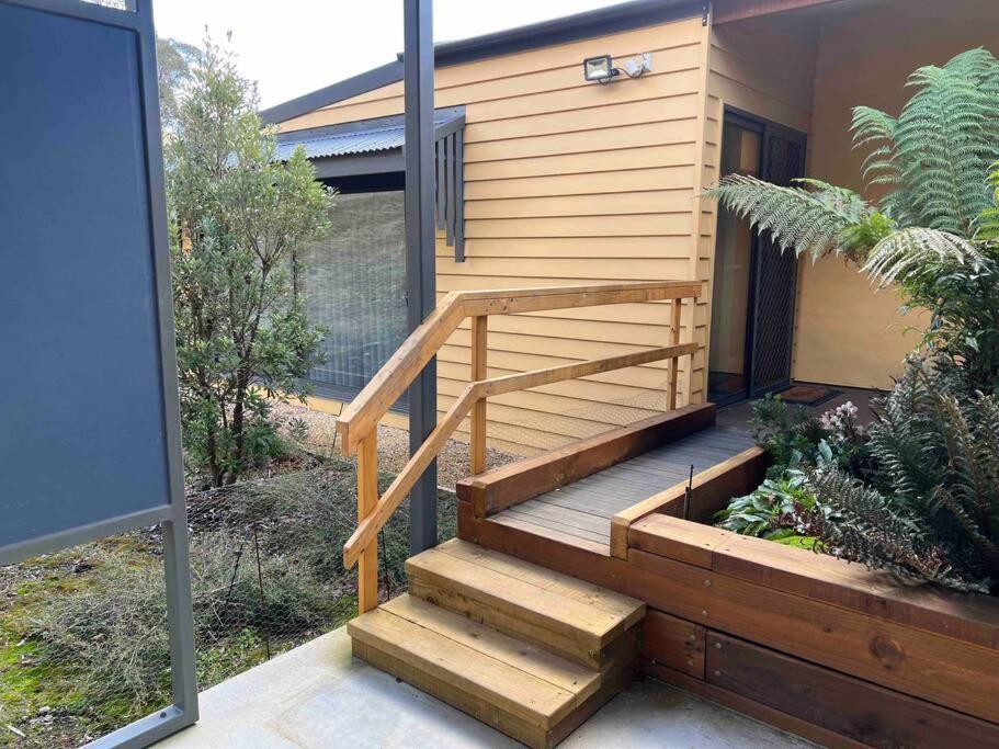 Collinsvale Amaroo With A View Set On A 50 Acre Hobby Farm 아파트 외부 사진