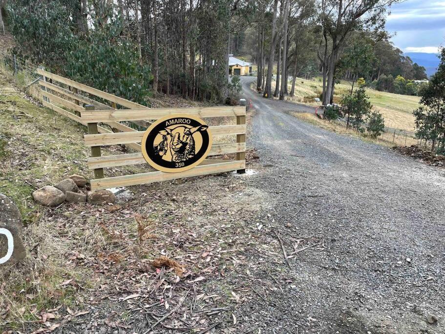 Collinsvale Amaroo With A View Set On A 50 Acre Hobby Farm 아파트 외부 사진