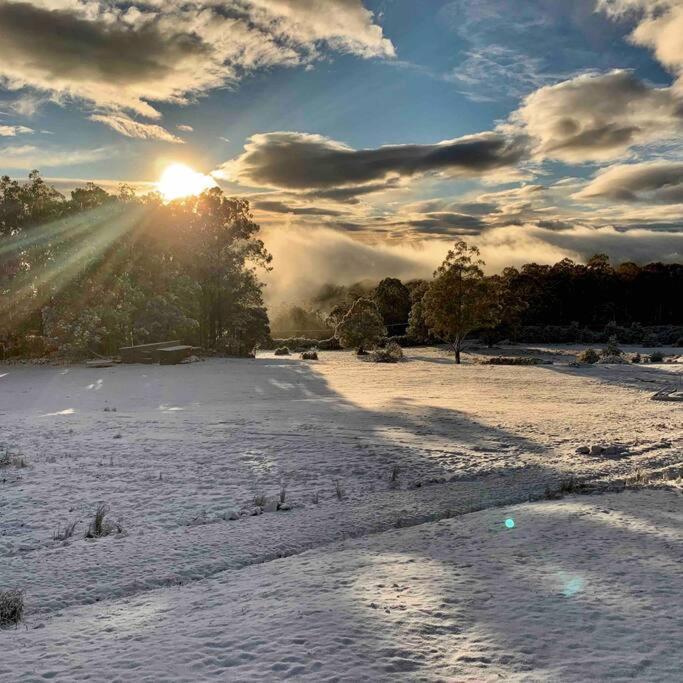 Collinsvale Amaroo With A View Set On A 50 Acre Hobby Farm 아파트 외부 사진