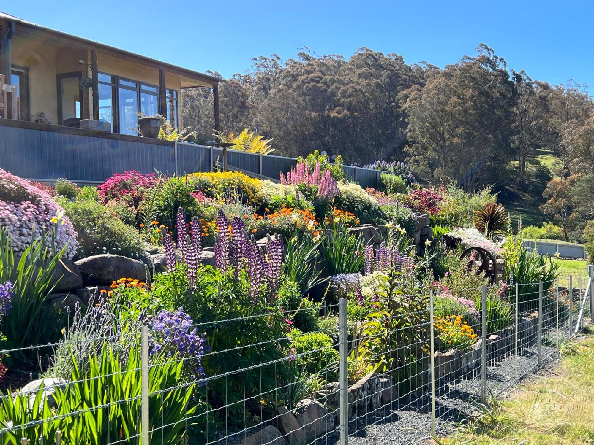 Collinsvale Amaroo With A View Set On A 50 Acre Hobby Farm 아파트 외부 사진